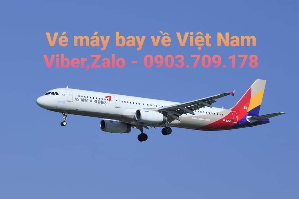 ve-may-bay-tu-my-ve-vietnam-asiana-airlines-05092021-01-fi31354955x1801.jpg